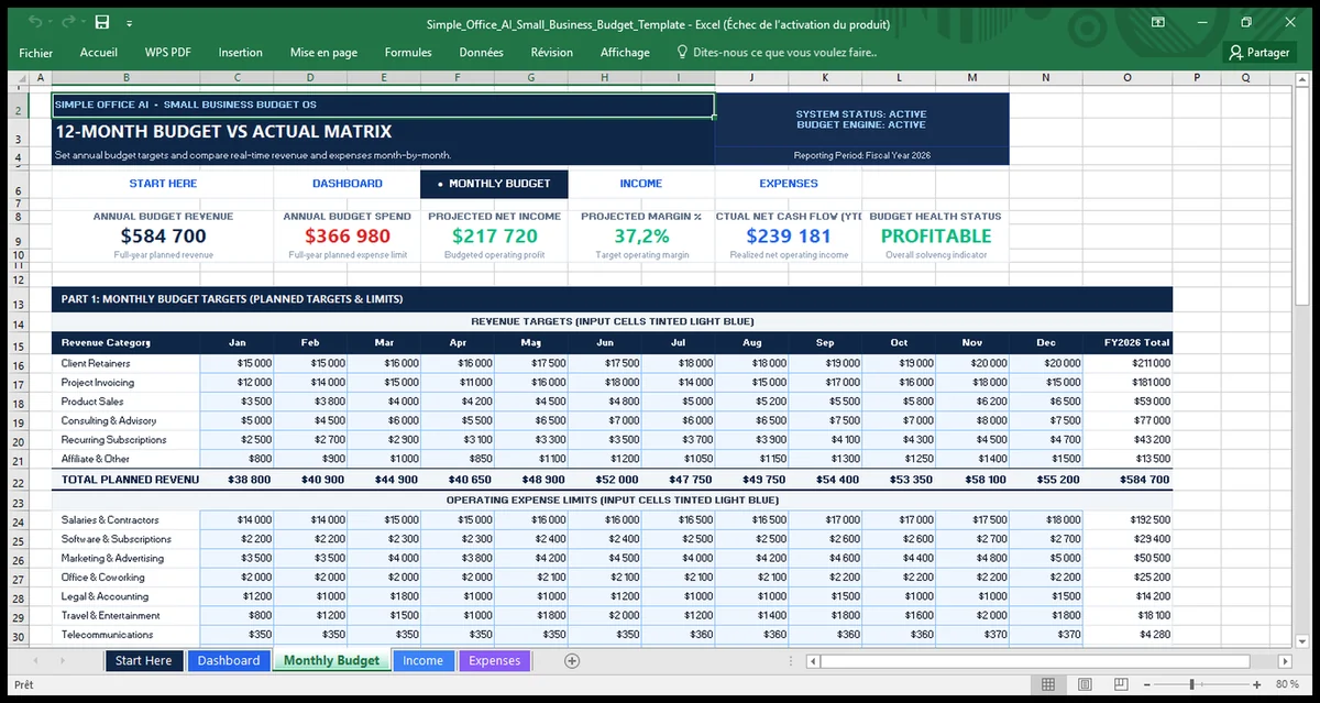 Monthly Budget sheet showing 12-month planned revenue and expense targets